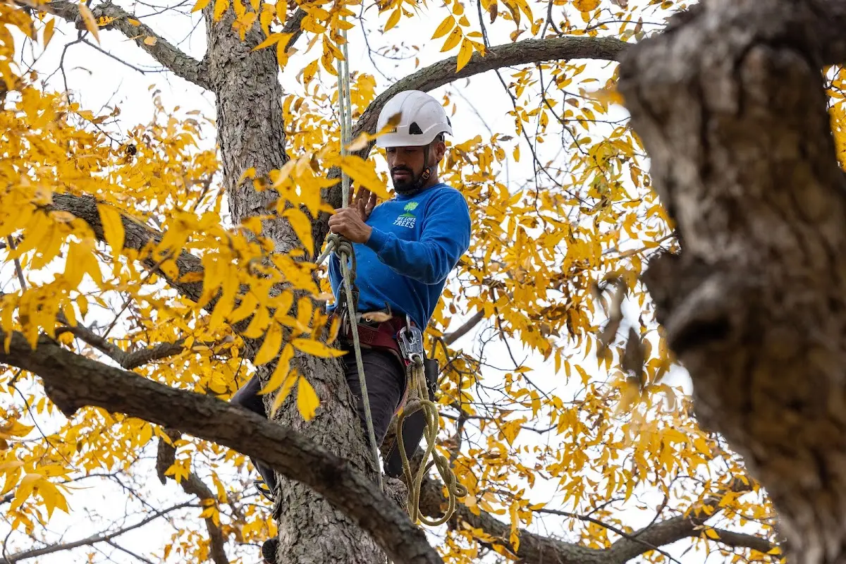 Skilled Storm Damage Cleanup crew working in Montague