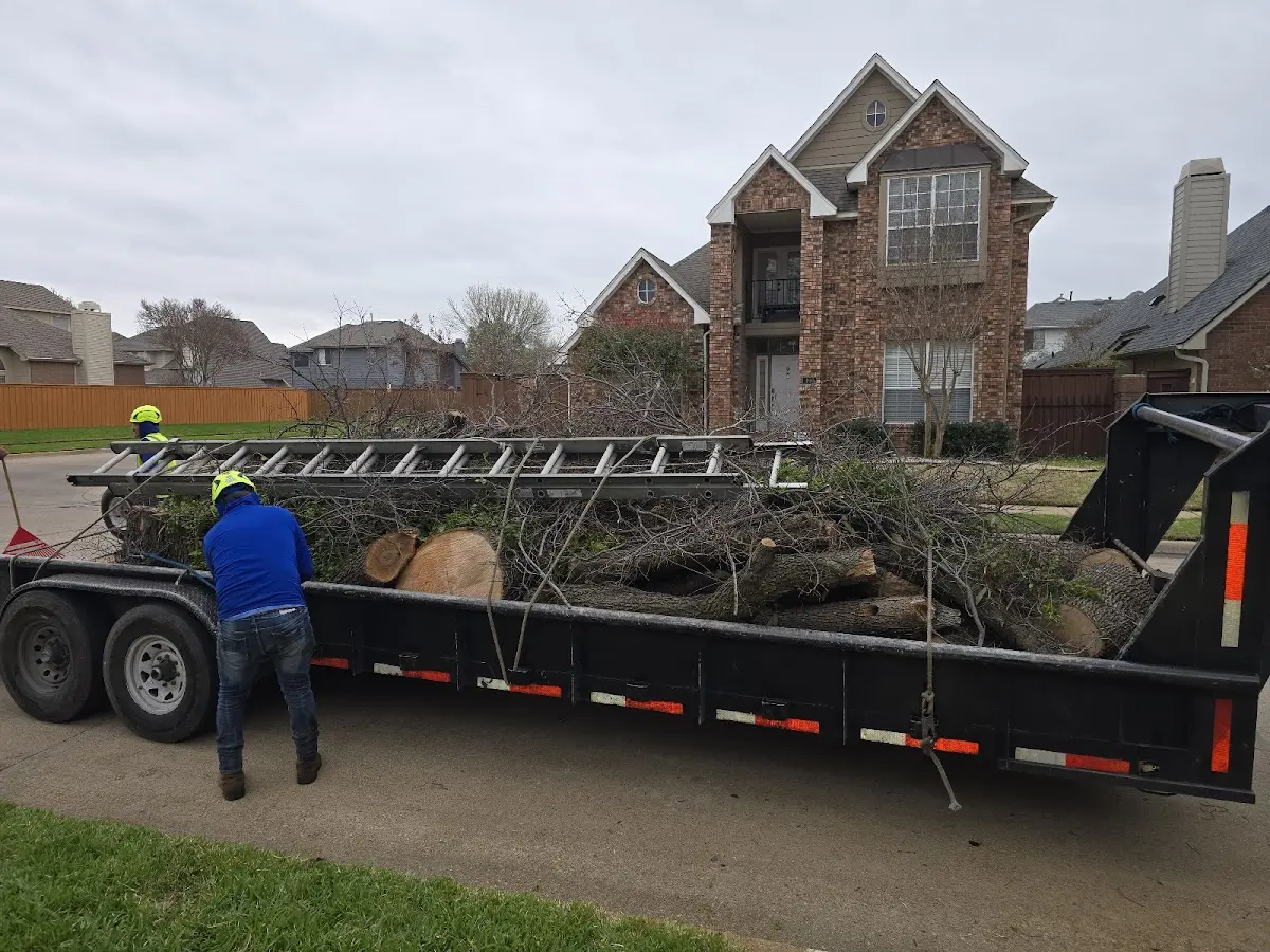 Expert Tree Pest Control with proper safety equipment in Montague
